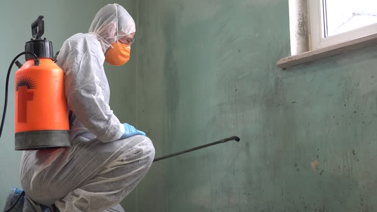 Why You Should Choose Our Mold Remediation Services in Herlong, CA